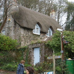 DSC03181