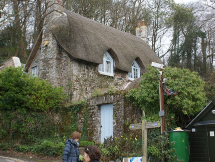 DSC03181