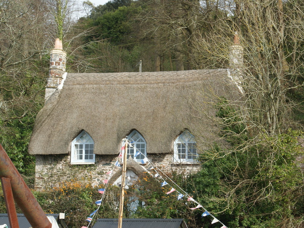 DSC03184