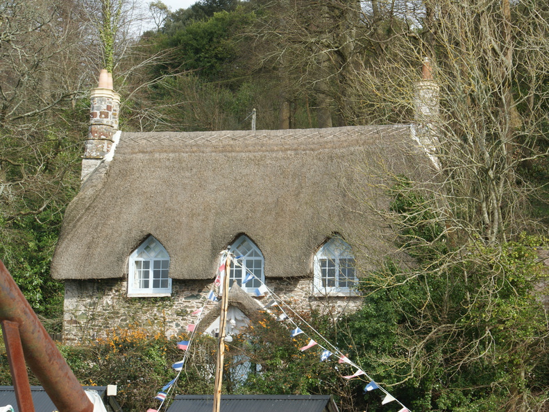 DSC03184