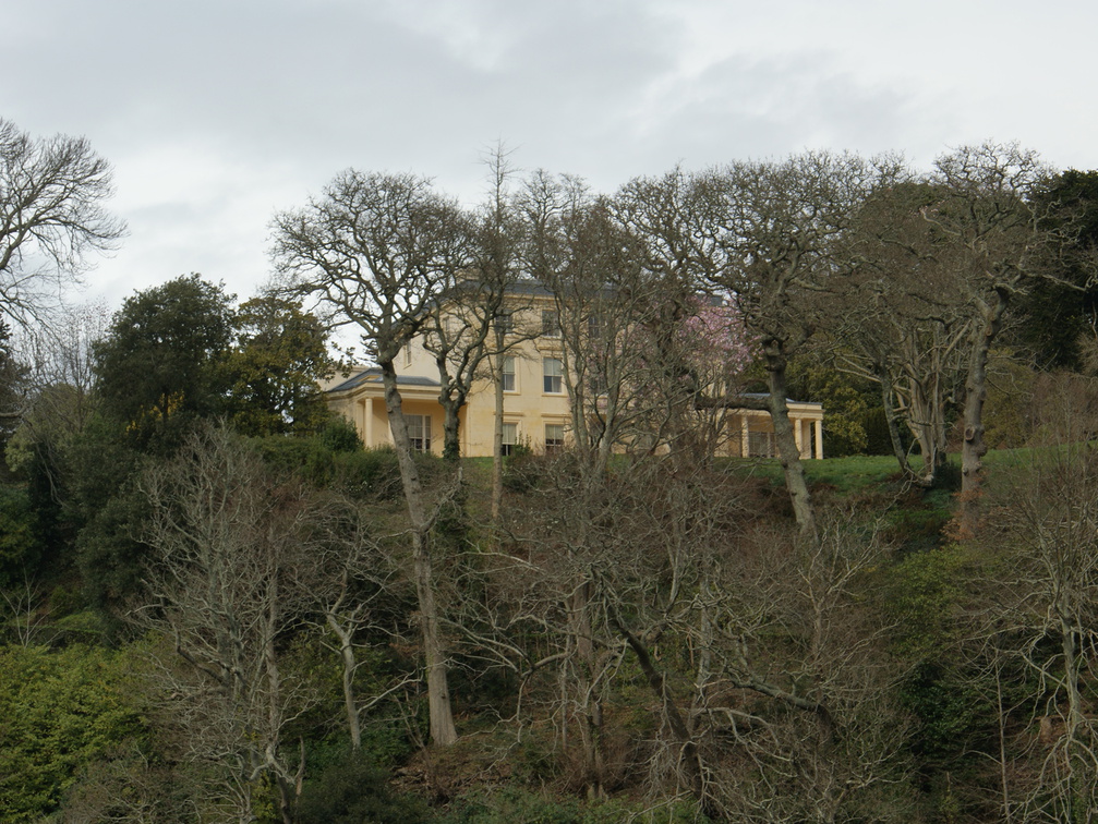 DSC03196
