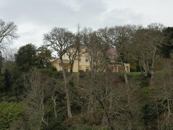 DSC03196