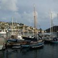 DSC03231