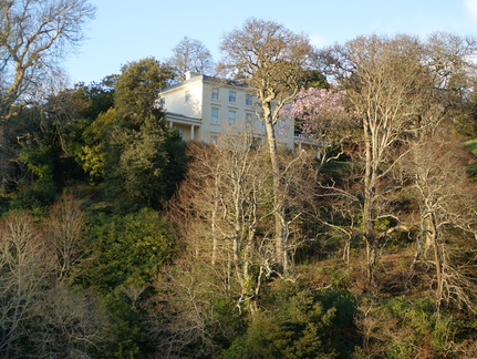DSC03255