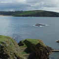 DSC03296
