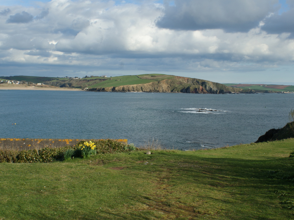 DSC03339