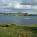 DSC03339