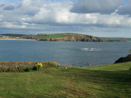 DSC03339