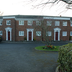 DSC03355