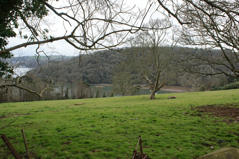 DSC03390.jpg