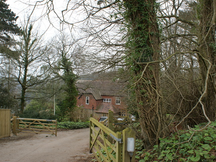 DSC03393