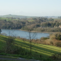 DSC03478