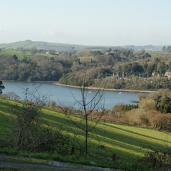 DSC03478