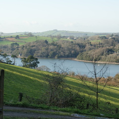 DSC03479