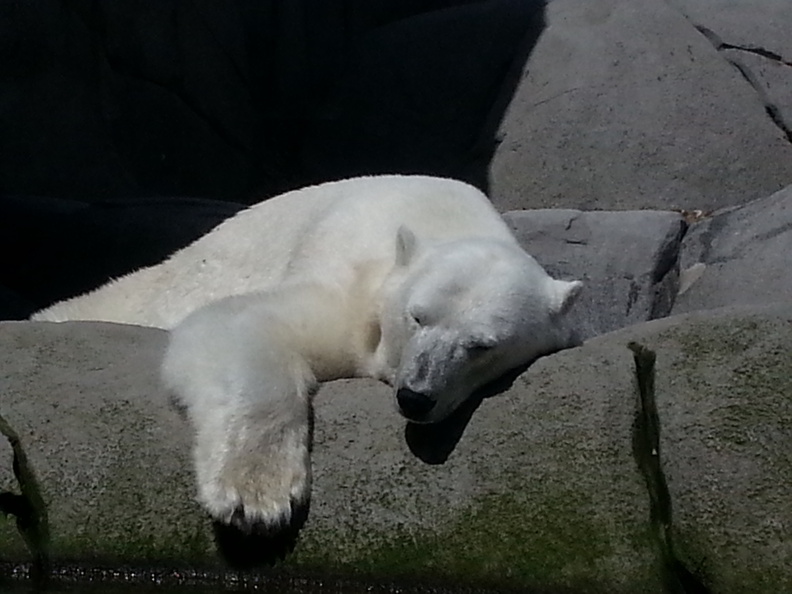 2013-06-16-11_33_34.jpg