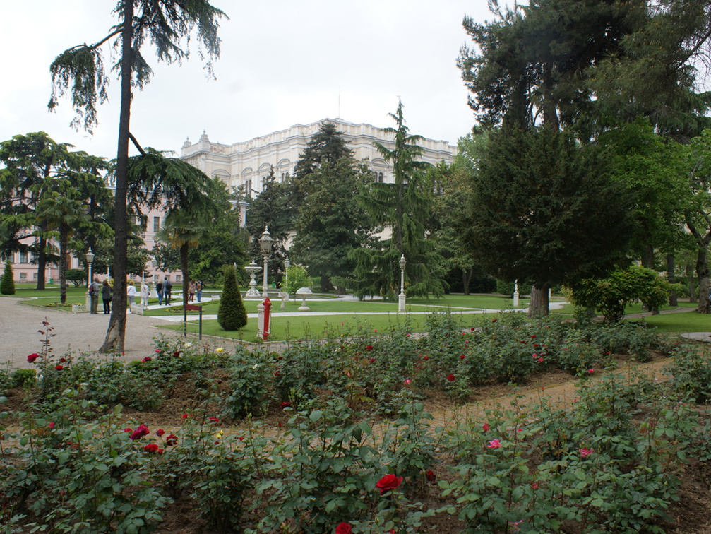 DSC04818