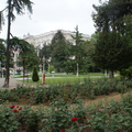 DSC04818