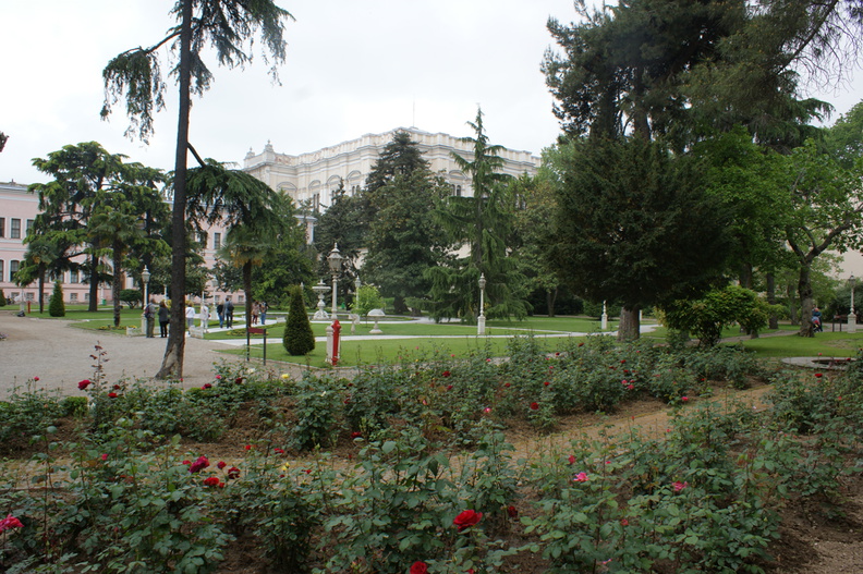 DSC04818.jpg