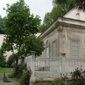 DSC04821