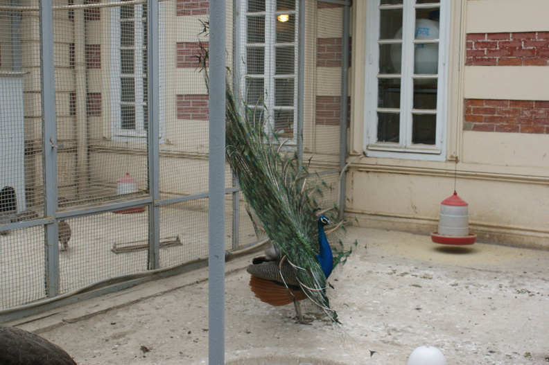 DSC04832.jpg