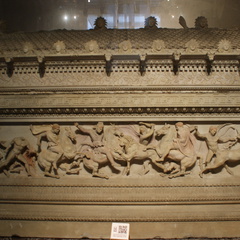 DSC04445