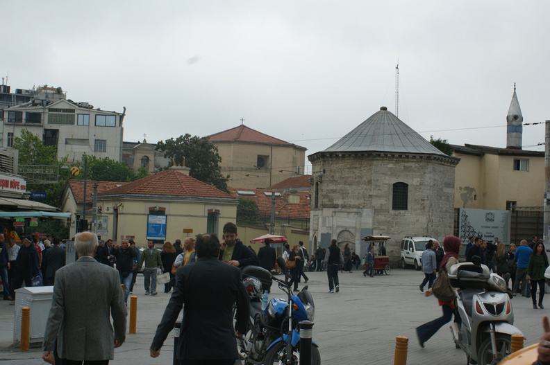 DSC04857.jpg