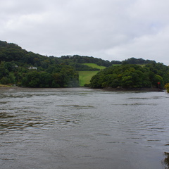 DSC00231