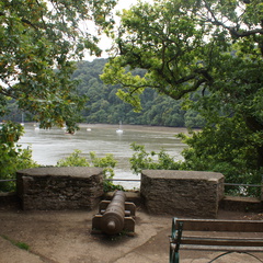 DSC00246