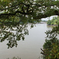 DSC00248