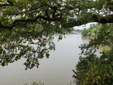 DSC00248