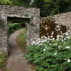 DSC00256