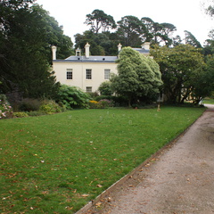 DSC00257