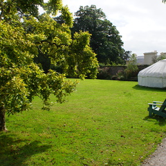 DSC00268