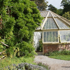 DSC00270