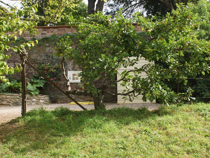 DSC00276