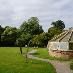 DSC00280