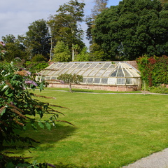 DSC00281