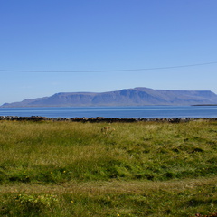 DSC01200