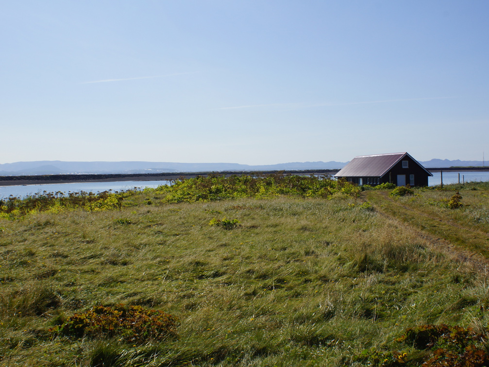 DSC01202