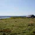 DSC01202