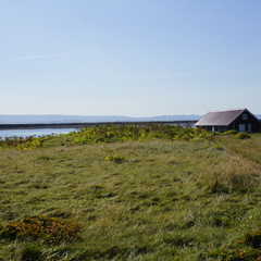 DSC01202