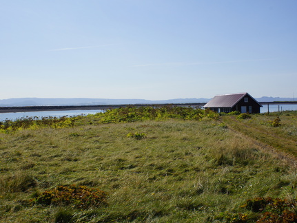 DSC01202