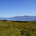 DSC01203