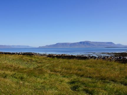 DSC01203