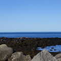 DSC01207