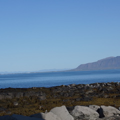 DSC01210