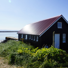 DSC01213