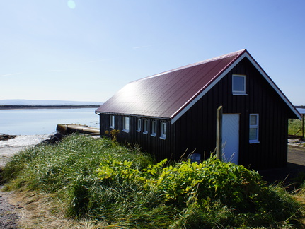DSC01213