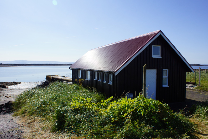 DSC01213.jpg