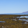 DSC01219